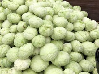 1 kg-1,8 kg / repollo