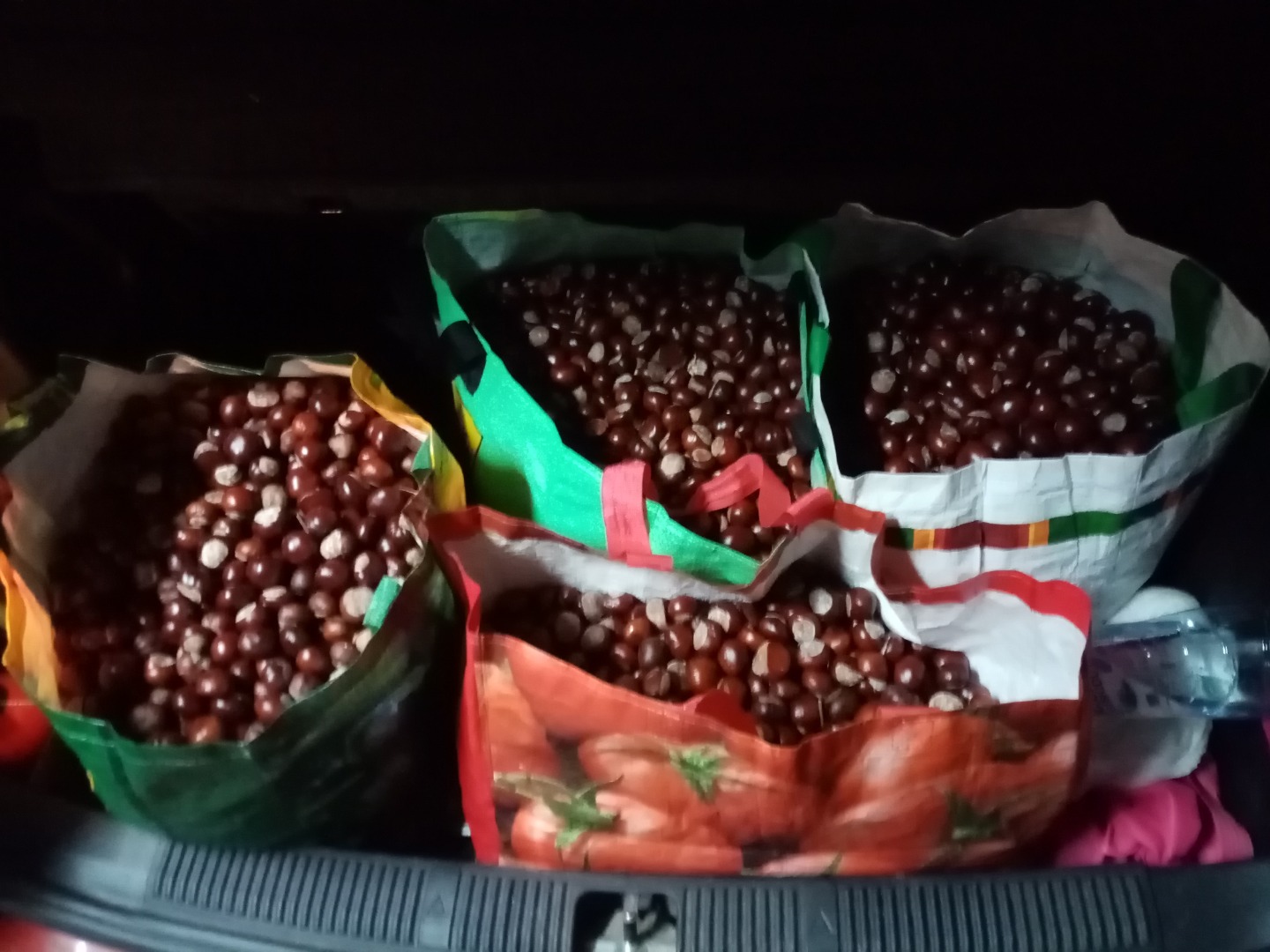 Hola, tengo más de 100 kg de castañas a la venta, el precio es de 80 PLN por el conjunto