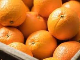 Posee una granja en Nagpur, Maharashtra. Las naranjas son