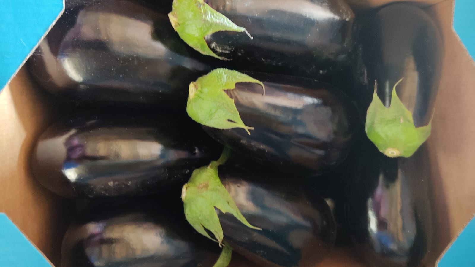 Hola, tenemos a la venta una berenjena de primera, 10 tarimas de cartón, los invito a la cooperación permanente