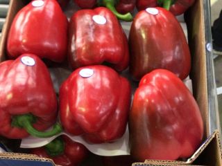 Ofrecemos pimiento rojo de 1 grado, variedad California, empaquetado