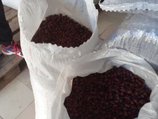 Hola, tenemos 45 toneladas de escaramujos de alta calidad