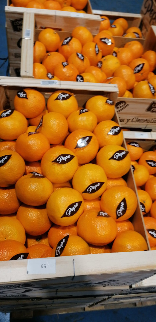 Venderé una naranja y una mandarina de España