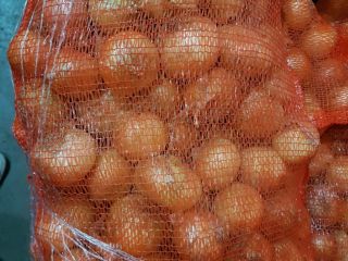 Venderé cebollas amarillas frescas Tenemos cebollas amarillas frescas listas