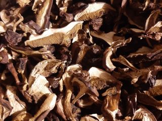 Venderé boletes de laurel secos, cortados, precio por kg