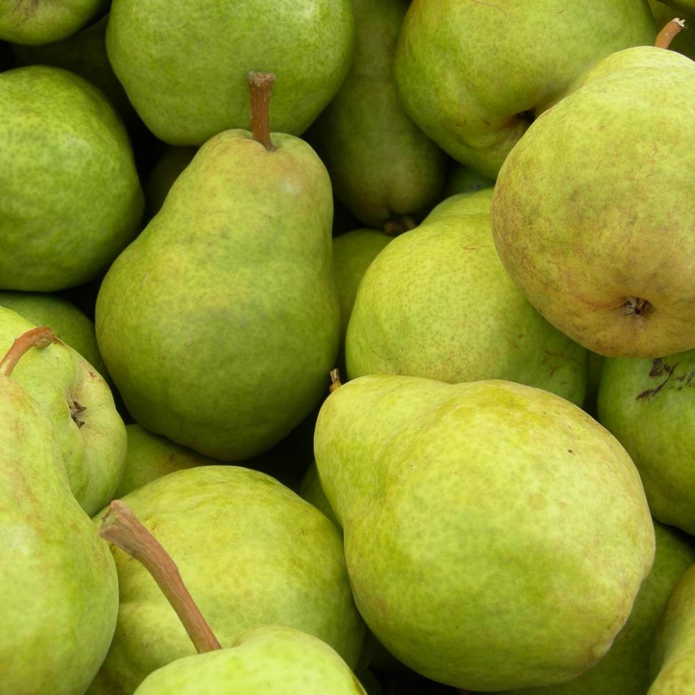 1> 5 kg / CTN para el tamaño: 12,14,16,18,20 y 22 2> 9 kg / CTN para el tamaño: 24,28,32,36,40 y 44 3> 10 kg / CTN para el tamaño: 24,28, 32,36,40 y 44 4> 15