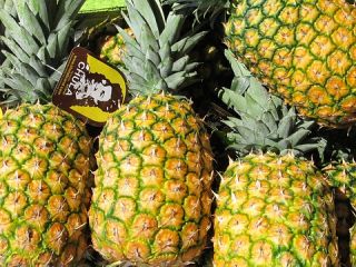 piña fresca del proveedor directo