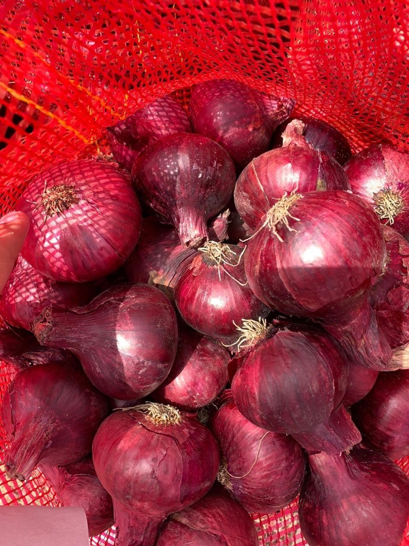 cebolla al mejor precio en venta
