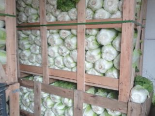 Hola, vendo col china, variedad Bilko, calibre 1 kg