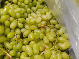Venta de uvas, 15 K. Origen Grecia, variedad Thomson.