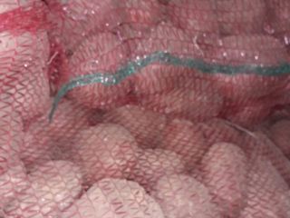 Patatas blancas y rojas Muy sabroso Ultra y Belarosa