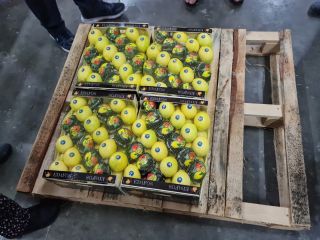 LIMÓN en venta, Kalibr 54-72, origen Turquía, variedad MAYER,