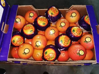 Te invitamos a comprar pomelo rojo, origen Turquía, precio