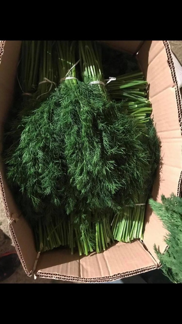 NUESTRA EMPRESA ESTÁ TRABAJANDO EN LA EXPORTACIÓN DESDE 2010 DE VERDURAS FRESCAS DE GEORGIA A LETONIA, LITUANIA, ESTONIA, UCRANIA .