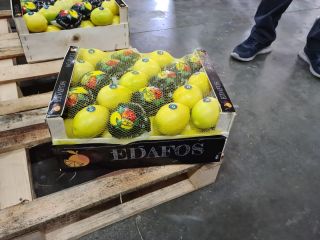 Hola, Lemon Majer calibre 66 y superior, tengo un