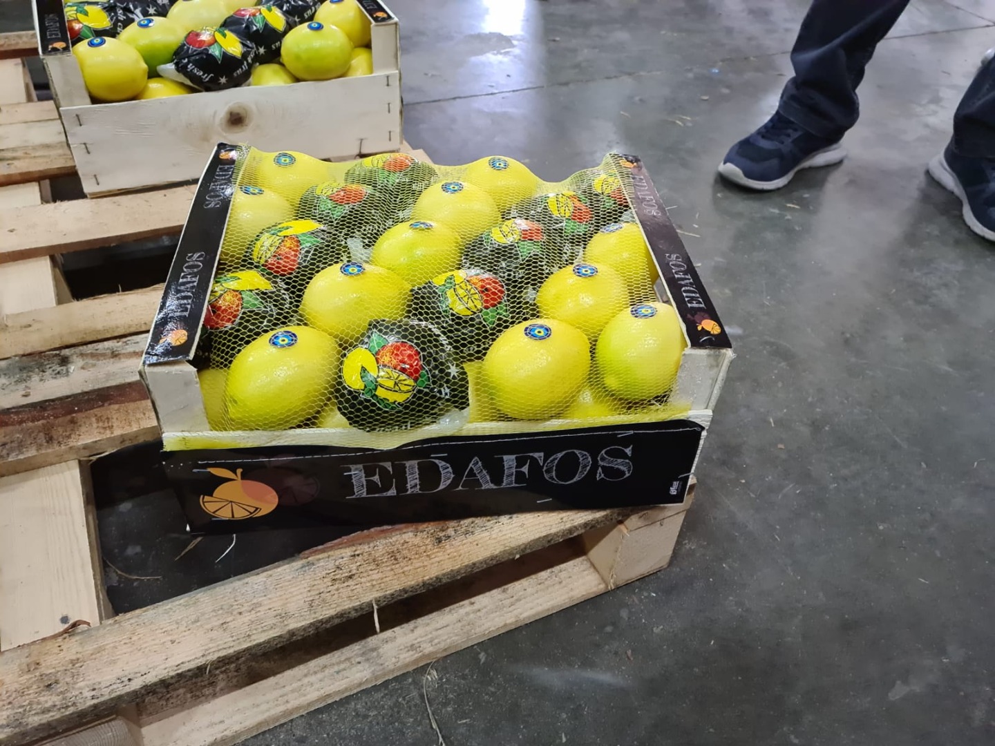 Hola, Lemon Majer calibre 66 y superior, tengo un contenedor de madera de 10 kg, solo puedo interactuar con personas que venden al por mayor un pedido mínimo