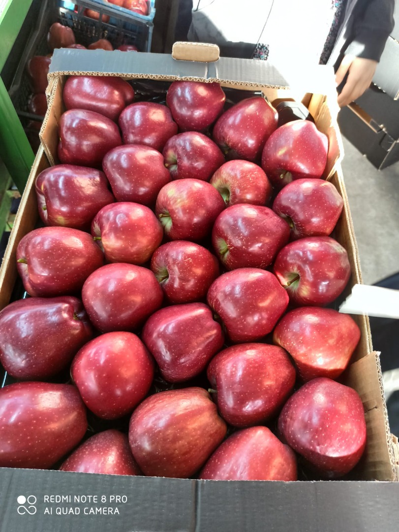 Se iniciaron las ventas de diferentes variedades de manzanas de Turquía, calibres desde el calibre 65 en adelante