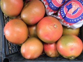 venta de pomelo de Turquía Entrega directamente desde el