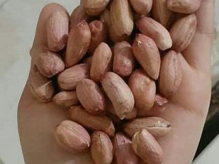 Vende cacahuetes de muy buena calidad.