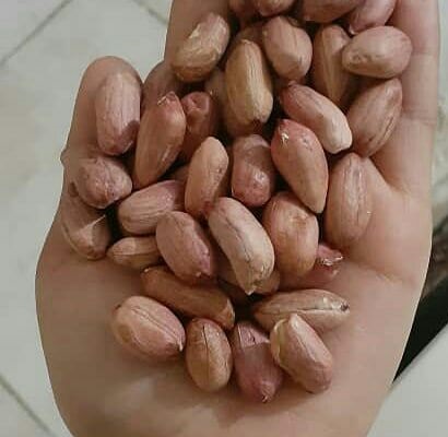 Vende cacahuetes de muy buena calidad