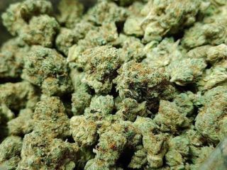 Marihuana medicinal de alta calidad disponible Wickr .... califo20