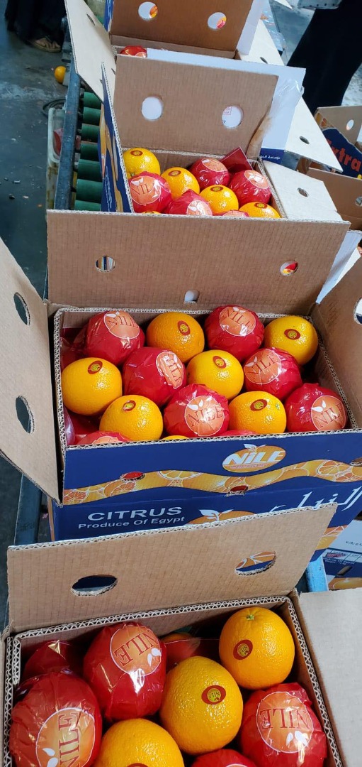 Naranjas Navel frescas a la venta desde egipto Tenemos envases de calibre '42' '56' '64' '72' mm disponible en 8 kg o 15 kg