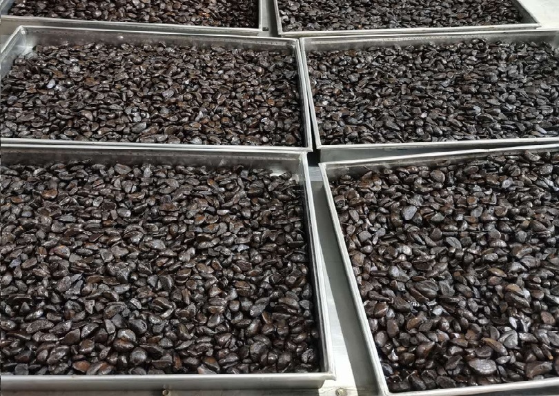 Producción de ajo negro fermentado, línea propia, refinado + 20% al costo, solo VENTA AL POR MAYOR