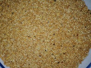 Vendemos: Mijo amarillo Cultivo 2020 Origen ucraniano Cantidad -