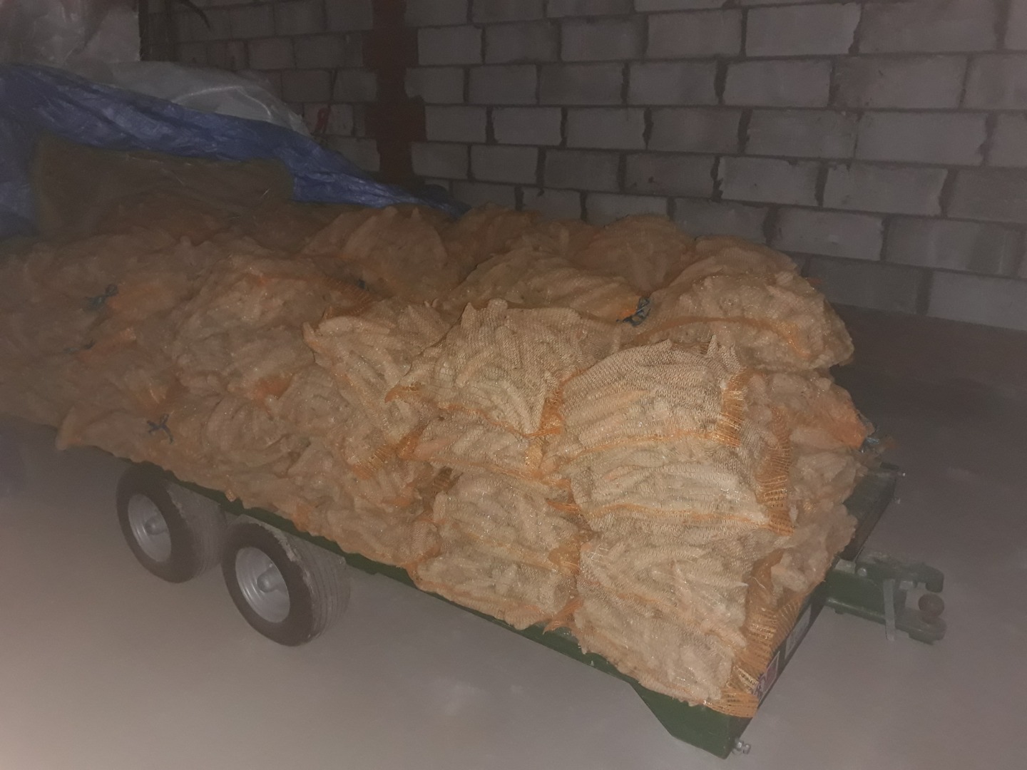 Vendo zanahorias frescas envasadas en sacos de 10 kg