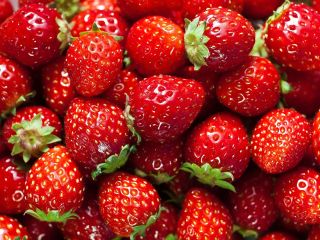 Venta de fresas congeladas de alta calidad de la