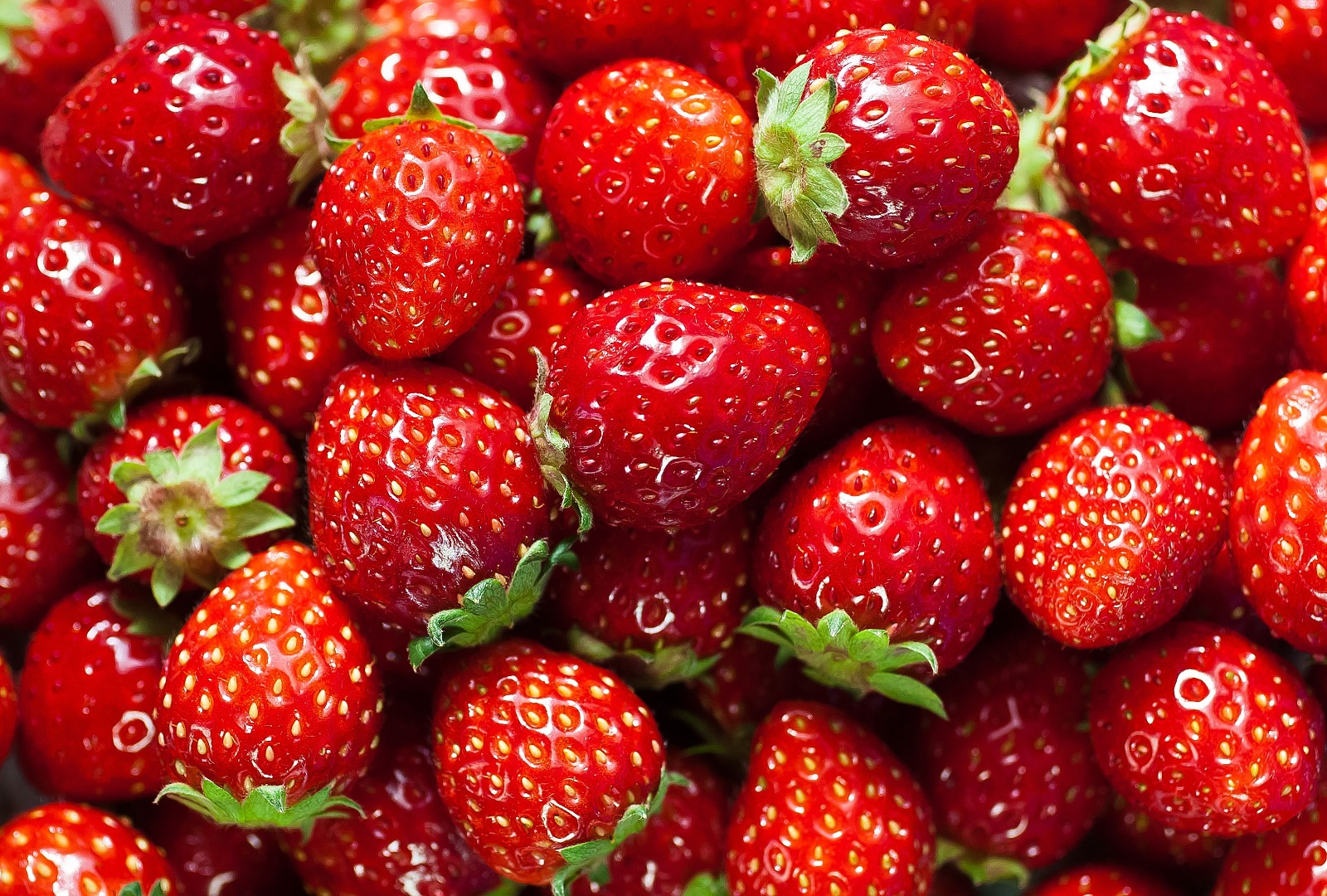 Venta de fresas congeladas de alta calidad de la cosecha de Rumania 2020