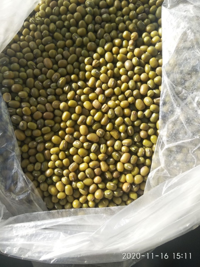 Se venden frijoles mungo de Uzbekistán