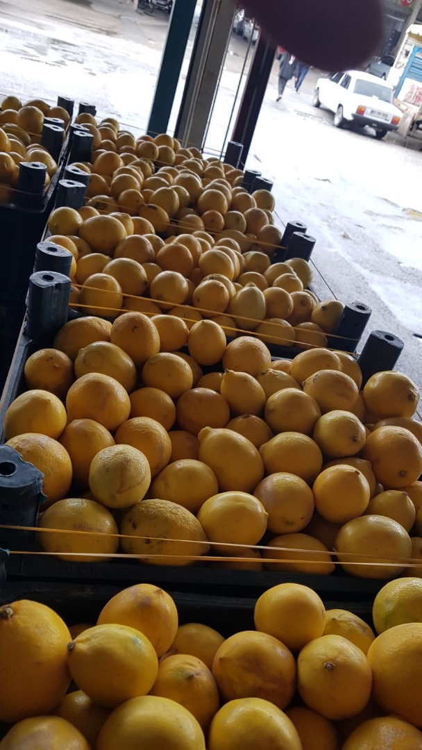Venta en toneladas de frutas de 3 calidades para la elaboración de zumos o bazares
