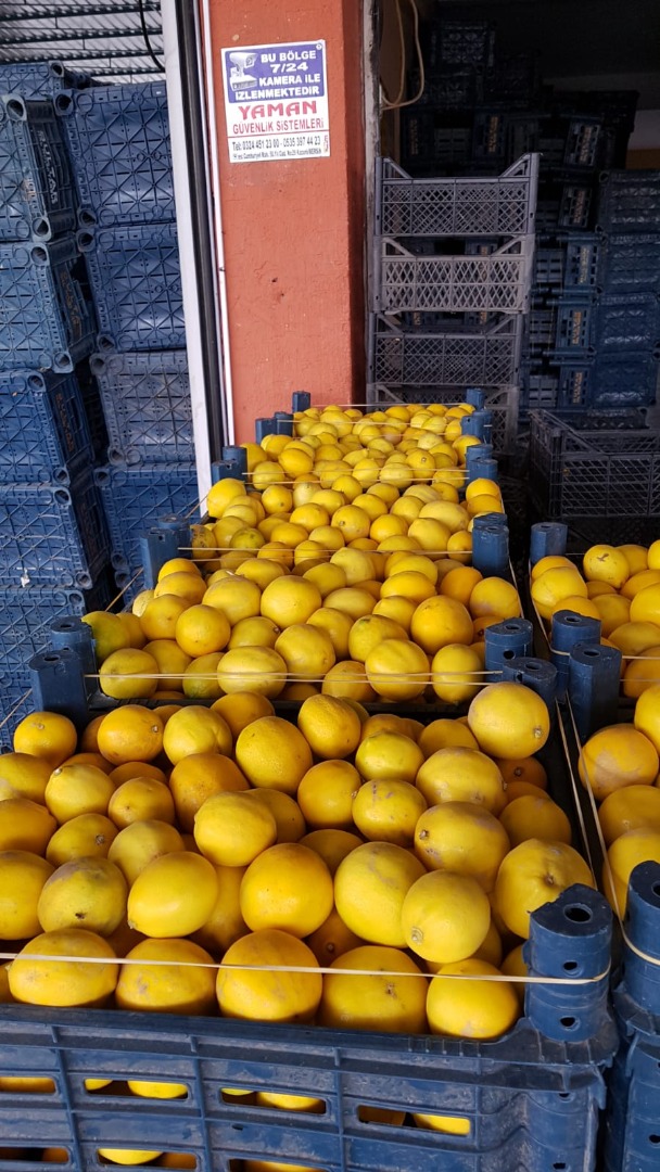 Venta en toneladas de frutas de 3 calidades para la elaboración de zumos o bazares