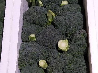 verduras frescas de Irán