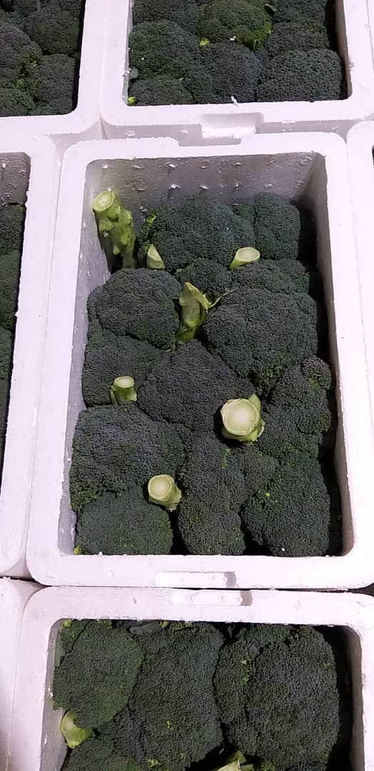 verduras frescas de Irán