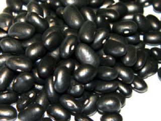 Somos muy apreciados por ofrecer Black Matpe de calidad