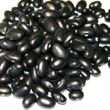 Somos muy apreciados por ofrecer Black Matpe de calidad a nuestros clientes