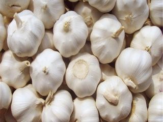 como tamaño grande, rico sabor suculento, sabor picante puro,