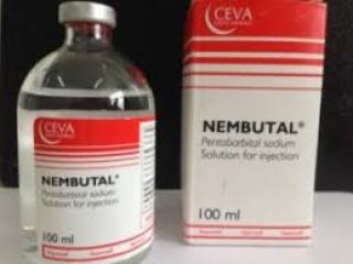 Compras en línea de Nembutal, si está buscando el
