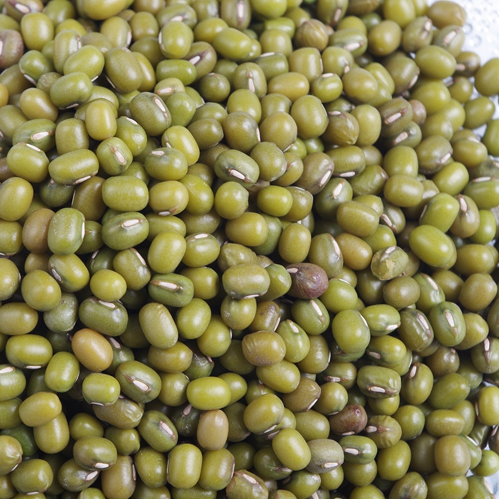 Frijoles mungo verde de productos básicos para brotar Tamaño 2,7 mm +, 3,0 mm +, 3,6 mm +, 4,0 mm + Tasa de germinación 98% arriba Humedad 13% máx