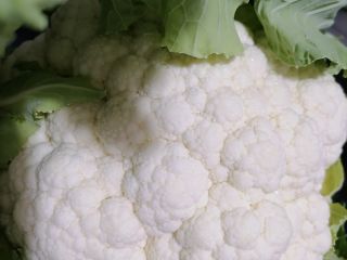 Coliflor de excelente calidad procedente del noroeste de Turquía.