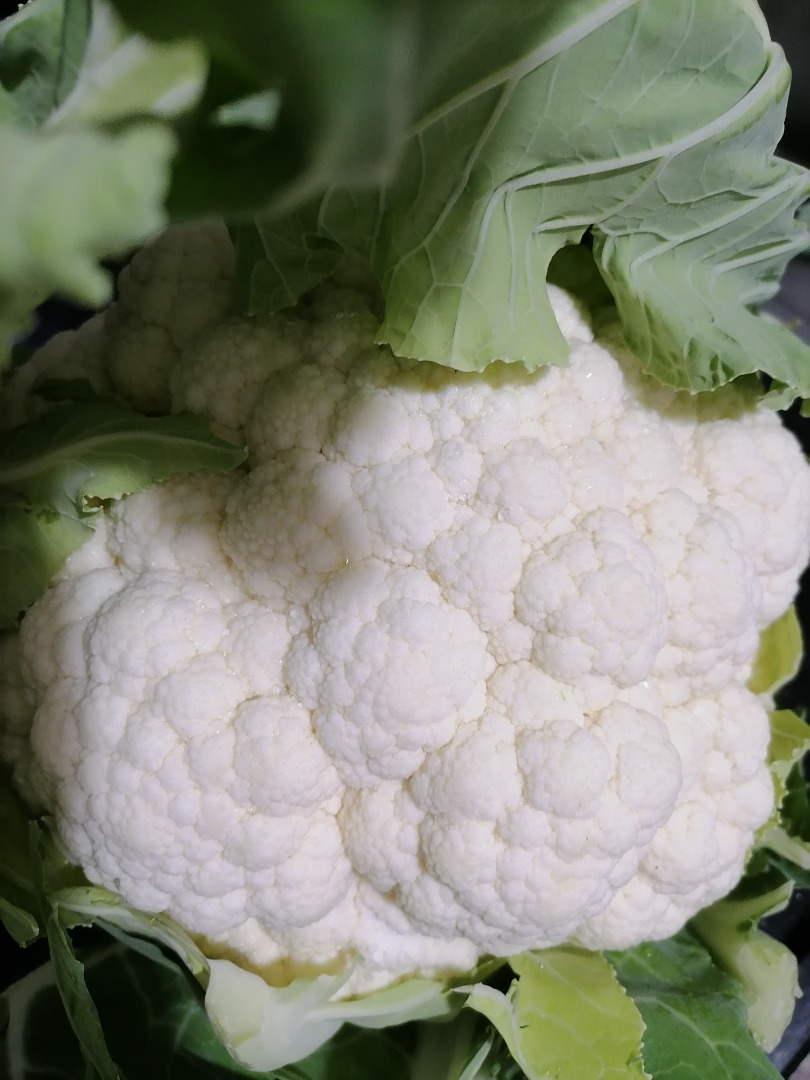 Coliflor de excelente calidad procedente del noroeste de Turquía