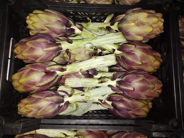 Detalles del empaque Alcachofa Egipcia Fresca, una impresionante verdura verde-violeta con forma de bola cubierta con capas de hojas, de hecho un tipo