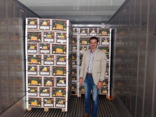 Capacidad de suministro: 16000 cajas / cajas por día