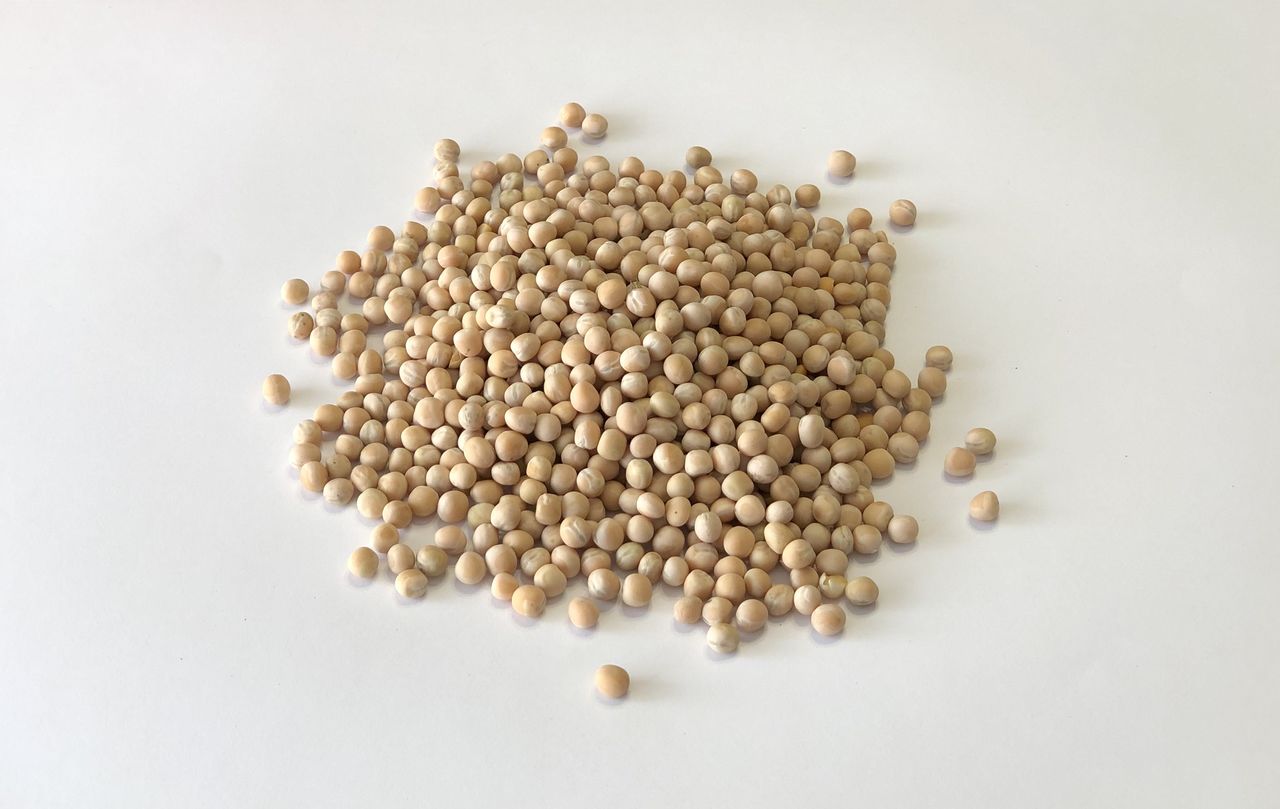Guisantes de la producción de 2020, tipo - Gambito (República Checa) Seleccionado, limpiado, calibrado, soplado con basura