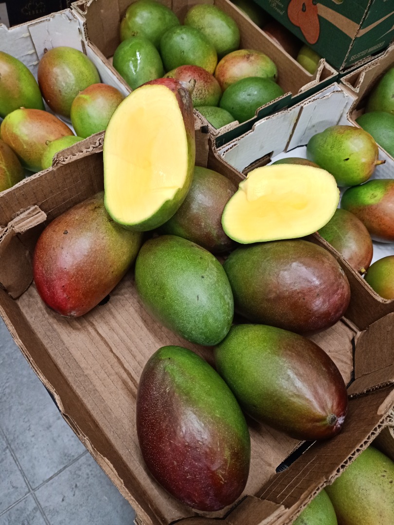 Hola, tengo aguacate y mango a la venta, más información se puede obtener llamando al