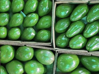 Aguacate Semil 34 de República Dominicana - Precio FOB