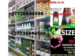 SEMILLA DE MUTUBA Y ACEITE PARA AMPLIADOR DE PENE