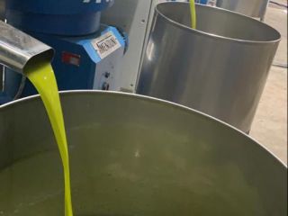 Aceite de oliva virgen extra del valle del Jordán